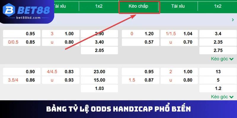 Bảng tỷ lệ odds Handicap phổ biến
