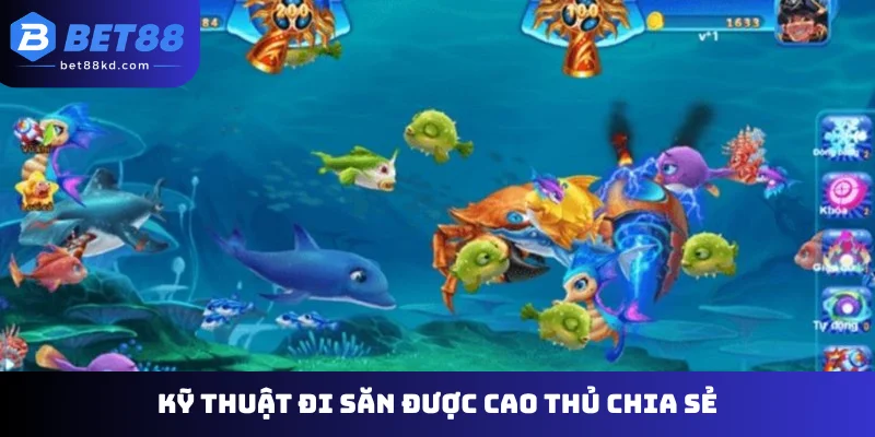 Kỹ thuật đi săn được cao thủ chia sẻ